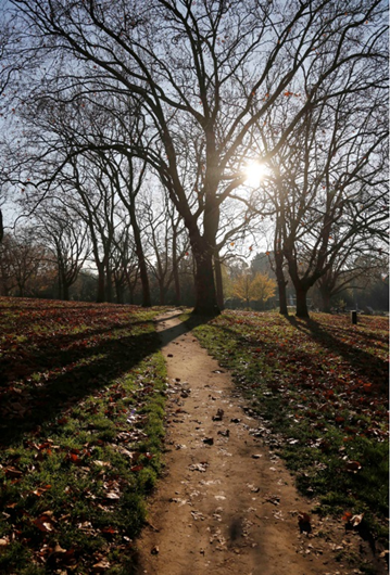 Peckham Rye Park 2